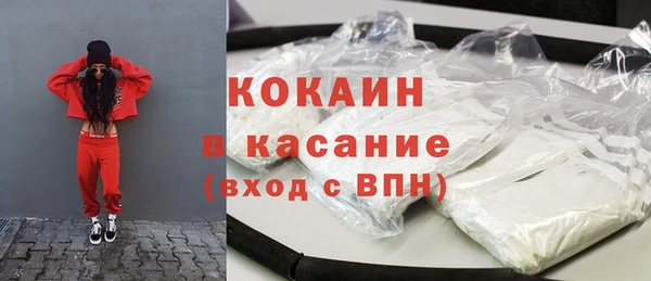 молекула духа Осинники