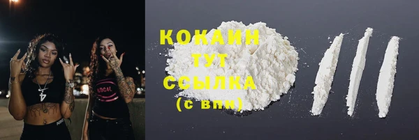 молекула духа Осинники