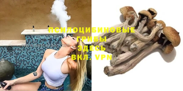 молекула духа Осинники