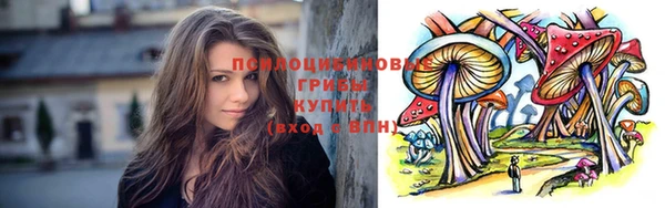 молекула духа Осинники